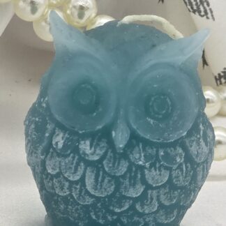 Kerze Eule türkis